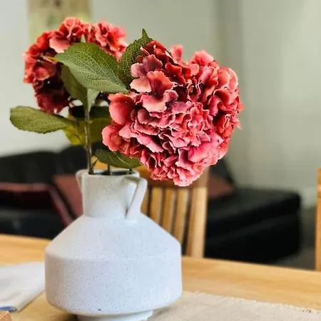 Duplex Laon'tre-deux * Laon