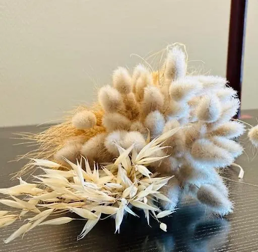 Duplex Laon'tre-deux Laon