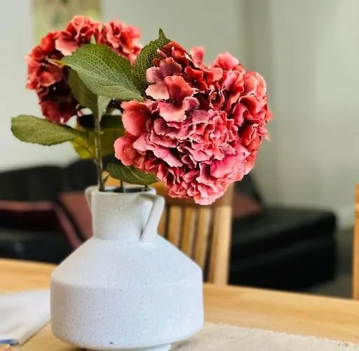 Duplex Laon'tre-deux * Laon